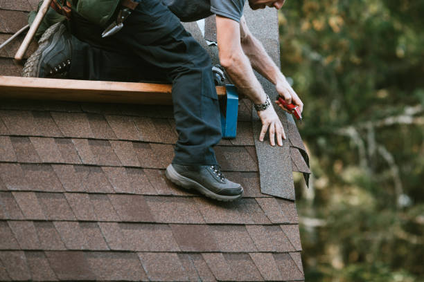 Best Roof Gutter Cleaning  in Chadbourn, NC